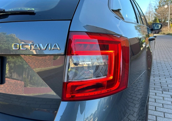 Skoda Octavia cena 59900 przebieg: 168300, rok produkcji 2019 z Chorzów małe 352